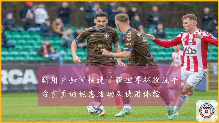 新用户如何快速了解世界杯投注平台首页的优惠活动及使用体验