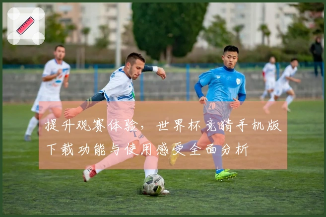 提升观赛体验，世界杯竞猜手机版下载功能与使用感受全面分析