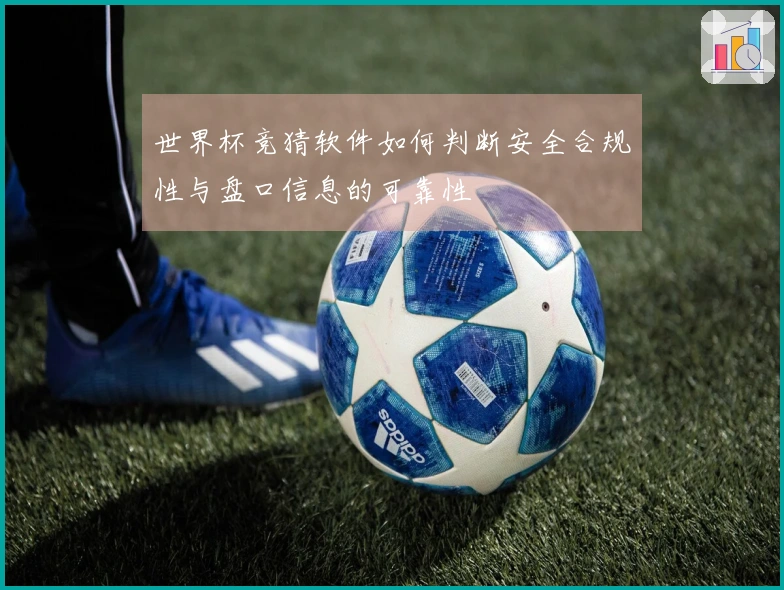 世界杯竞猜软件如何判断安全合规性与盘口信息的可靠性