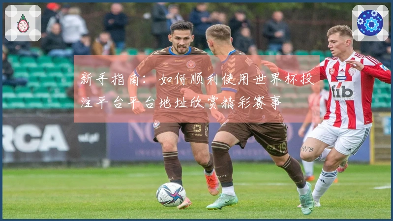 新手指南：如何顺利使用世界杯投注平台平台地址欣赏精彩赛事