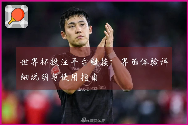 世界杯投注平台链接：界面体验详细说明与使用指南