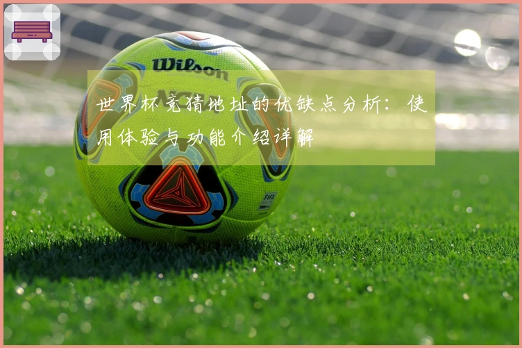 世界杯竞猜地址的优缺点分析：使用体验与功能介绍详解