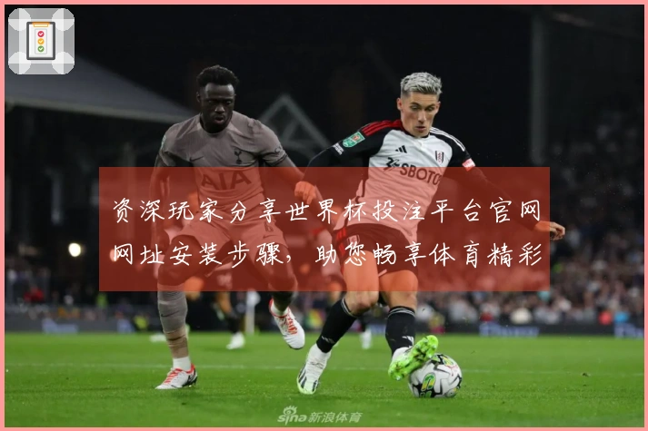 资深玩家分享世界杯投注平台官网网址安装步骤，助您畅享体育精彩赛事