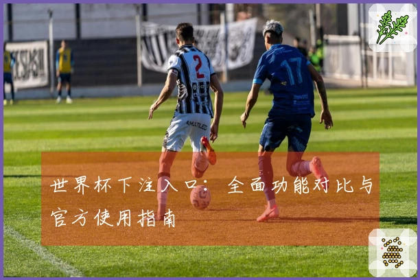 世界杯下注入口：全面功能对比与官方使用指南