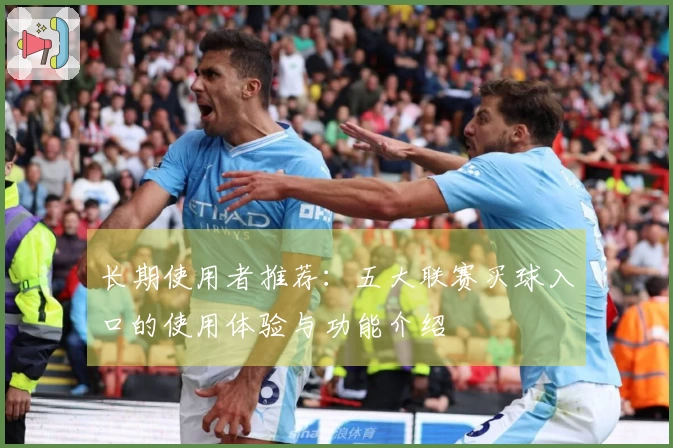 长期使用者推荐：五大联赛买球入口的使用体验与功能介绍