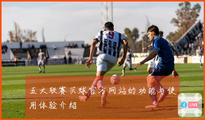五大联赛买球官方网站的功能与使用体验介绍